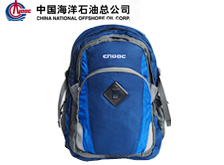 500強(qiáng)企業(yè)形象禮品中海油員工春游戶外背包
